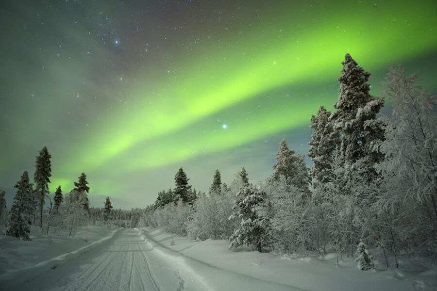 Rovaniemi: Guided Northern Lights Tour - What the campfire adds to a cold night