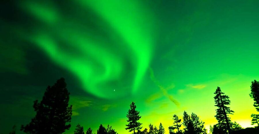 Rovaniemi: Guided Northern Lights Tour - How good are the chances of seeing the Aurora?