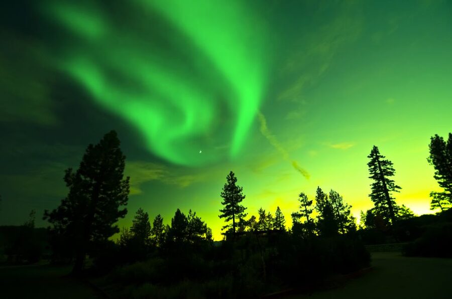 Rovaniemi: Guided Northern Lights Tour - What the guide experience is really like