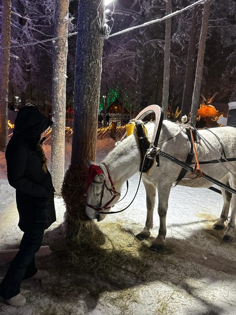 Rovaniemi: Guided Tour of Santa Claus Village - Getting your bearings at the Arctic Circle Information desk
