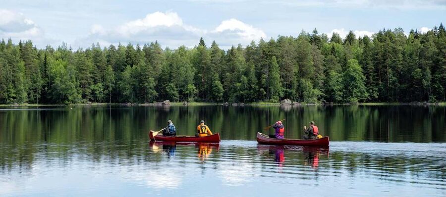Rovaniemi: Guided Wilderness Kayaking Adventure - Getting on the water with basic equipment