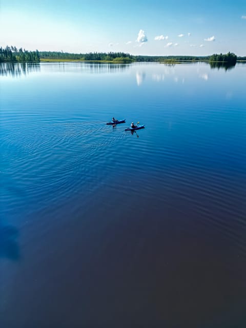 Rovaniemi: Guided Wilderness Kayaking Adventure - How much value do you get for $117?