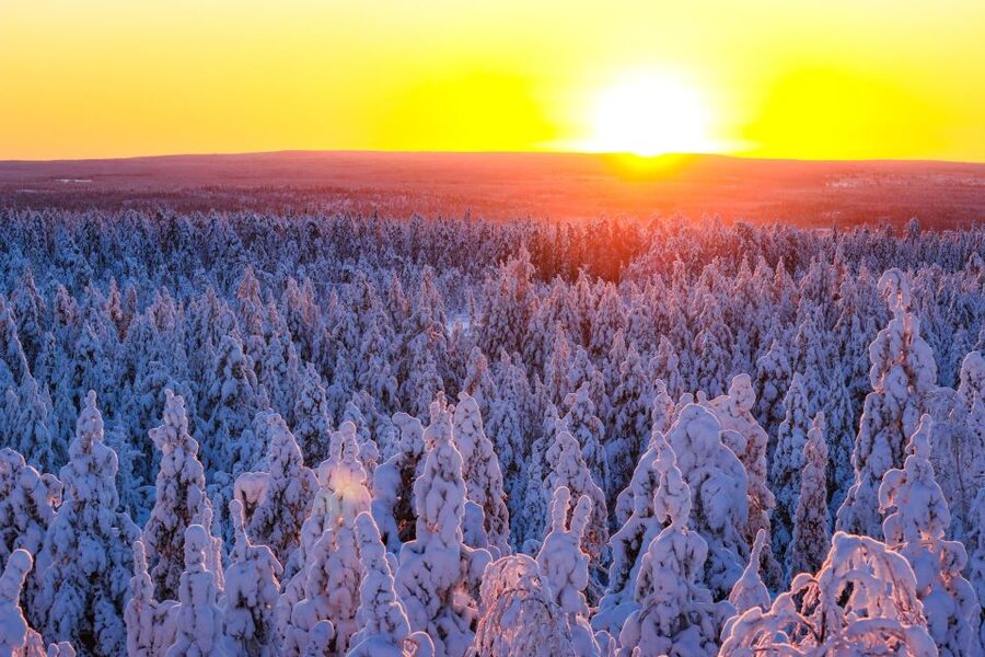 Rovaniemi: Guided Wilderness Snowmobile Ride - Key points at a glance