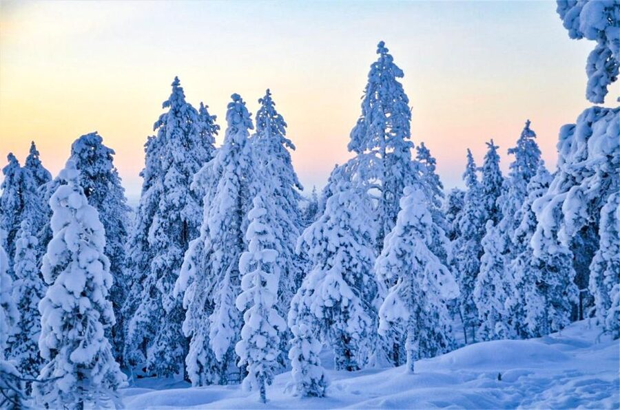 Rovaniemi: Guided Wilderness Snowmobile Ride - The safety lesson makes the first ride easier