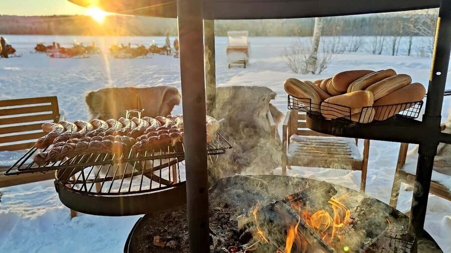 Rovaniemi: Guided Wilderness Snowmobile Safari & Barbeque - Daylight, darkness, and cold-weather planning