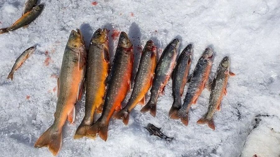 Rovaniemi: Half-Day Snowmobile & Ice Fishing Experience - Getting dressed for the Arctic ride