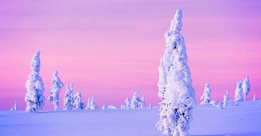 Rovaniemi: Half-Day Snowmobile & Ice Fishing Experience - Riding two to a snowmobile through the forest