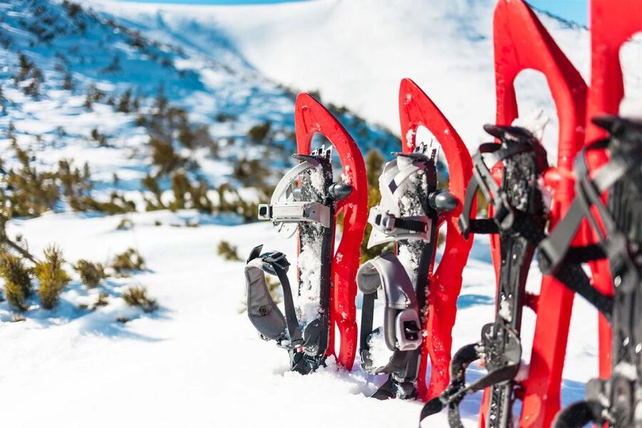 Rovaniemi: Hiking and Snowshoeing Adventure in Lapland - Key points at a glance