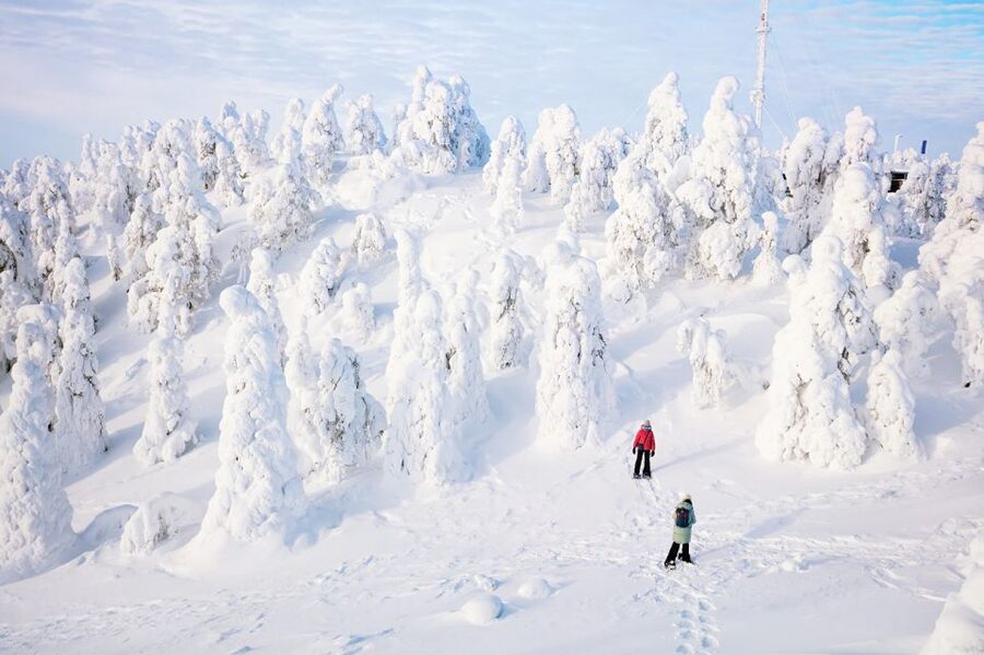 Rovaniemi: Hiking and Snowshoeing Adventure in Lapland - Walking into Rovaniemi’s winter forest