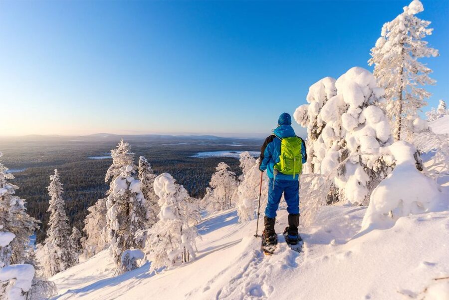 Rovaniemi: Hiking and Snowshoeing Adventure in Lapland - Crossing the frozen lake