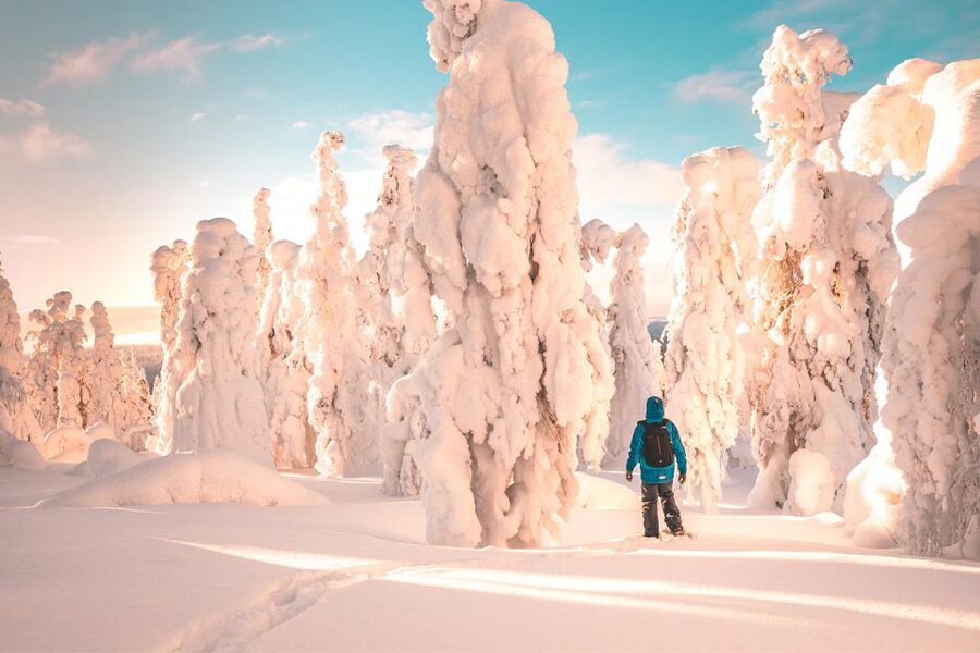 Rovaniemi: Hiking and Snowshoeing Adventure in Lapland - Who should book this activity?