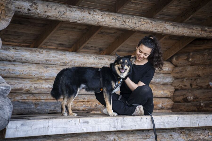 Rovaniemi: Hiking Experience with Lappish Dogs - Hotel pickup and the short ride to the trail