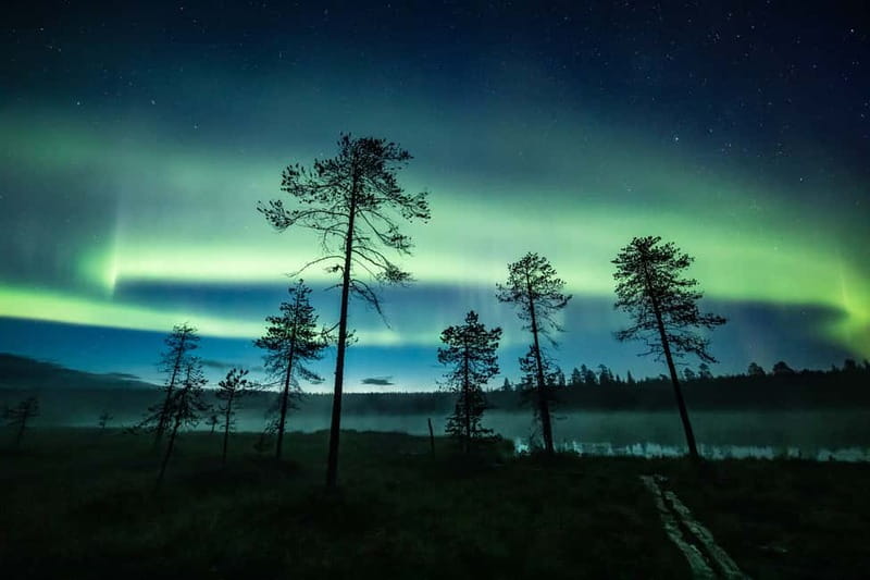 Rovaniemi: Horse Sleigh Ride under the Night Sky - Under blankets on the snowy trail