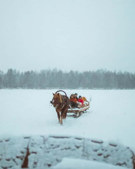 Rovaniemi: Horse Sleigh Ride under the Night Sky - The Northern Lights are a possibility, not a promise