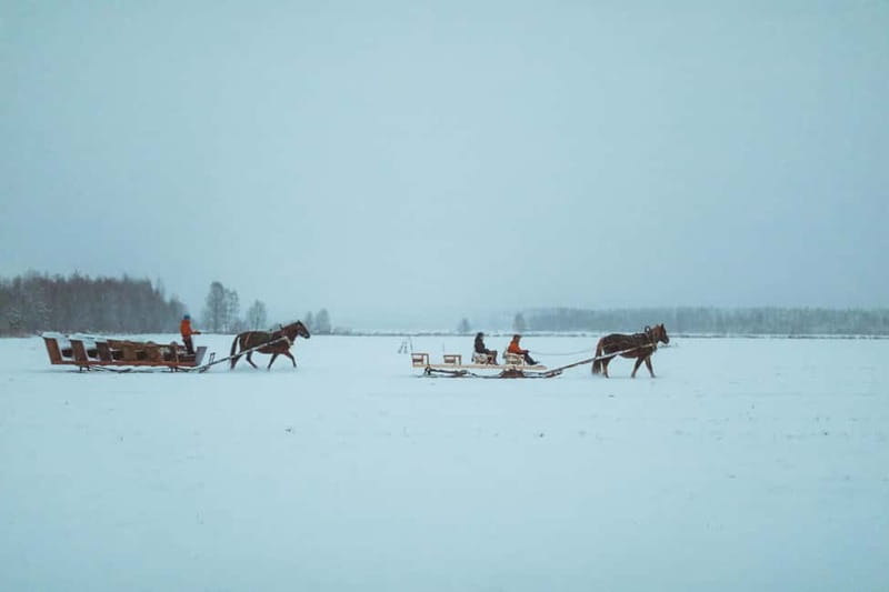 Rovaniemi: Horse Sleigh Ride under the Night Sky - Useful planning details for your evening