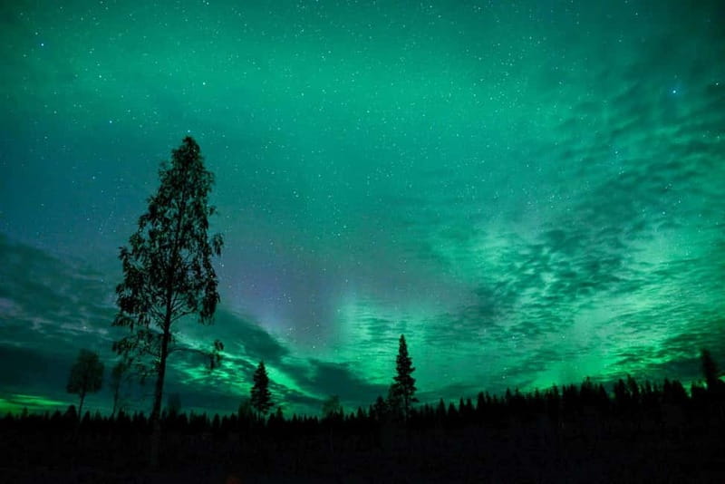 Rovaniemi: Horse Sleigh Ride under the Night Sky - What happens at Apukka Resort