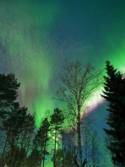 Rovaniemi Hunting Aurora at the Best Spots - What the $108 Price Really Covers