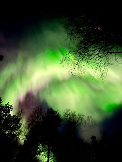 Rovaniemi Hunting Aurora at the Best Spots - Should You Book Rovaniemi Hunting Aurora at the Best Spots?