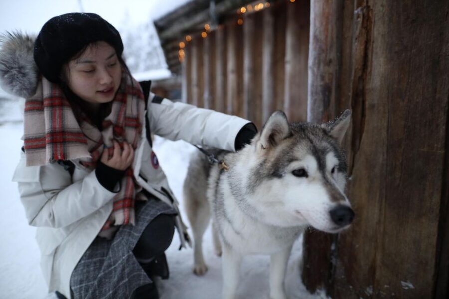 Rovaniemi: Husky and reindeer farm visit with sleigh rides - My booking advice