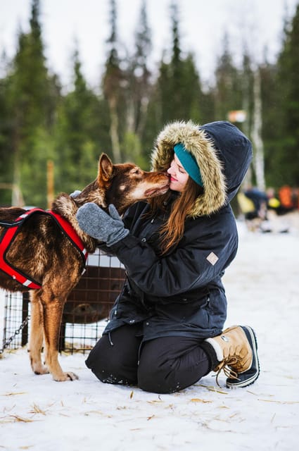 Rovaniemi: Husky and Reindeer farm with sleigh ride - Warming up with a drink and snack