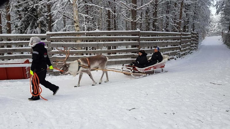 Rovaniemi: Husky Farm and Reindeer Experience - Should you book this Rovaniemi animal tour?
