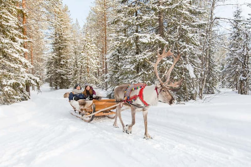Rovaniemi: Husky Farm and Reindeer Experience - Santa Claus Village: useful, cheerful, and touristy