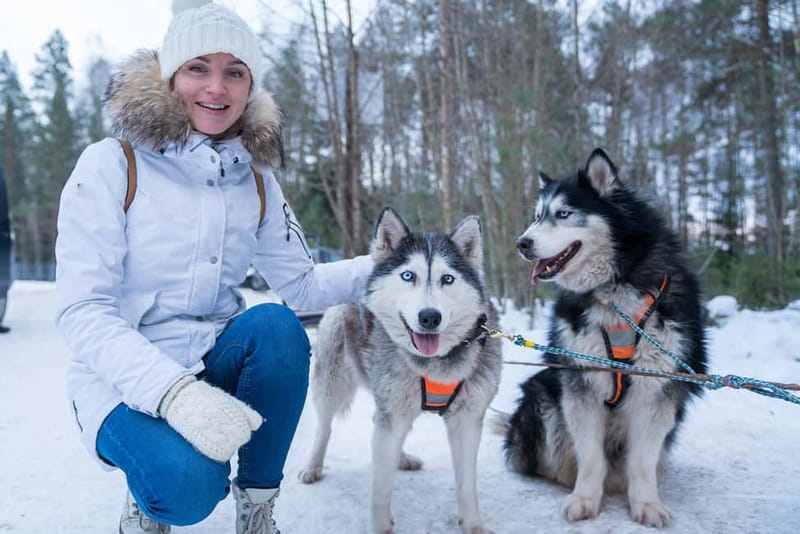 Rovaniemi: Husky Farm and Reindeer Experience - Learning the modern life of a reindeer herder
