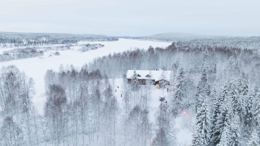 Rovaniemi: Husky Farm Visit with a Sledge Ride - Meeting the huskies beyond the postcard image
