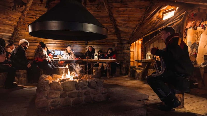 Rovaniemi: Husky & Reindeer Experience with Snowmobile Ride - The one-hour snowmobile ride