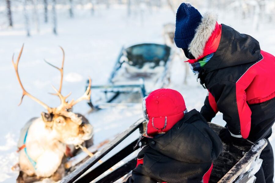 Rovaniemi: Husky & Reindeer Experience with Snowmobile Ride - Snowmobile safety and the insurance choice