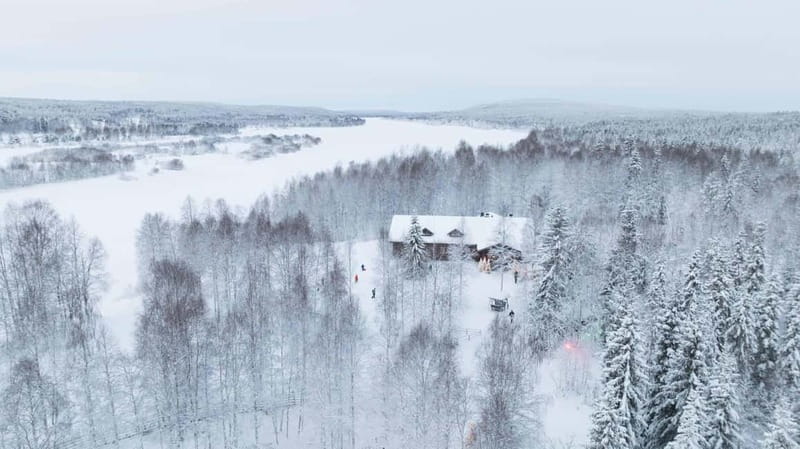 Rovaniemi: Husky & Reindeer Experience with Snowmobile Ride - Meeting the reindeer and learning about herding