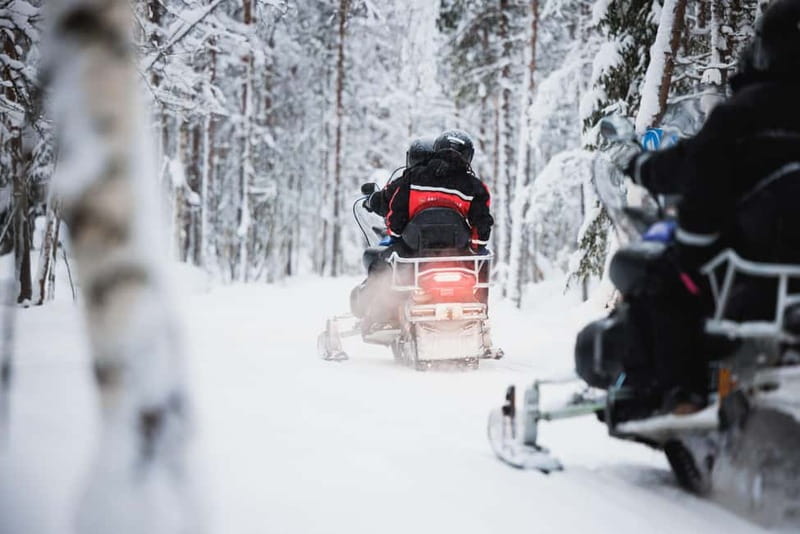 Rovaniemi: Husky & Reindeer Experience with Snowmobile Ride - Who will get the most from this tour