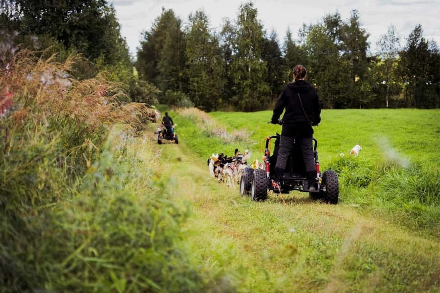 Rovaniemi: Husky Safari & Campfire BBQ – 6‑10 km Self‑Drive - Should you book the Rovaniemi husky safari?