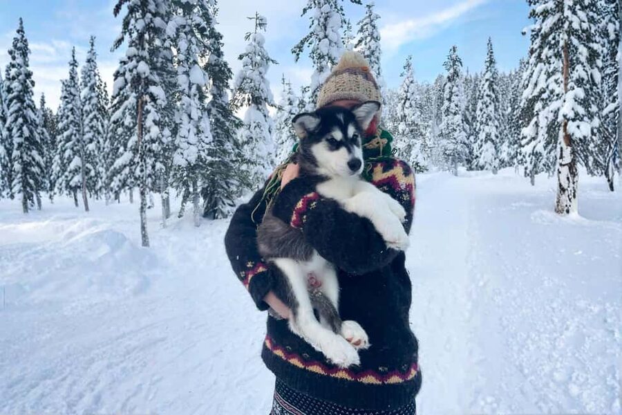 Rovaniemi: Husky Safari & Campfire BBQ – 6‑10 km Self‑Drive - Booking Details That Matter