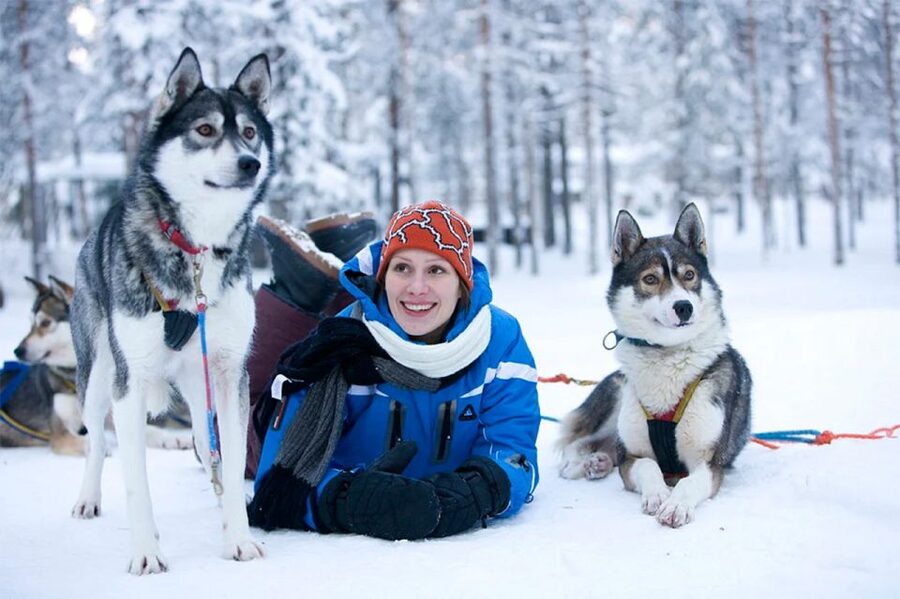 Rovaniemi: Husky Safari on a Snowy Trail - Is $269 a fair price?