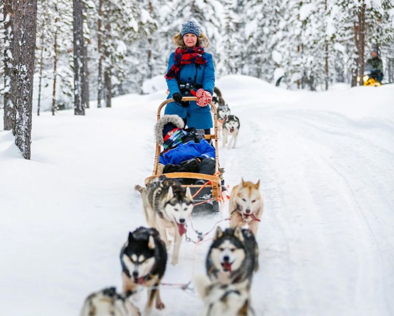 Rovaniemi: Husky Safari on a Snowy Trail - Booking, cancellation, and group rules