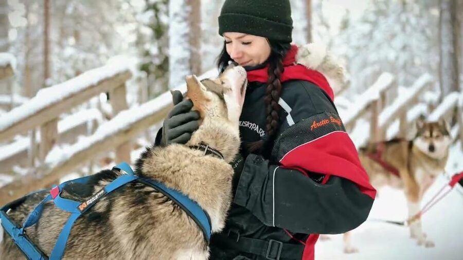 Rovaniemi: Husky Sled Ride with Hotel Transfer - Should you book the Rovaniemi husky ride?