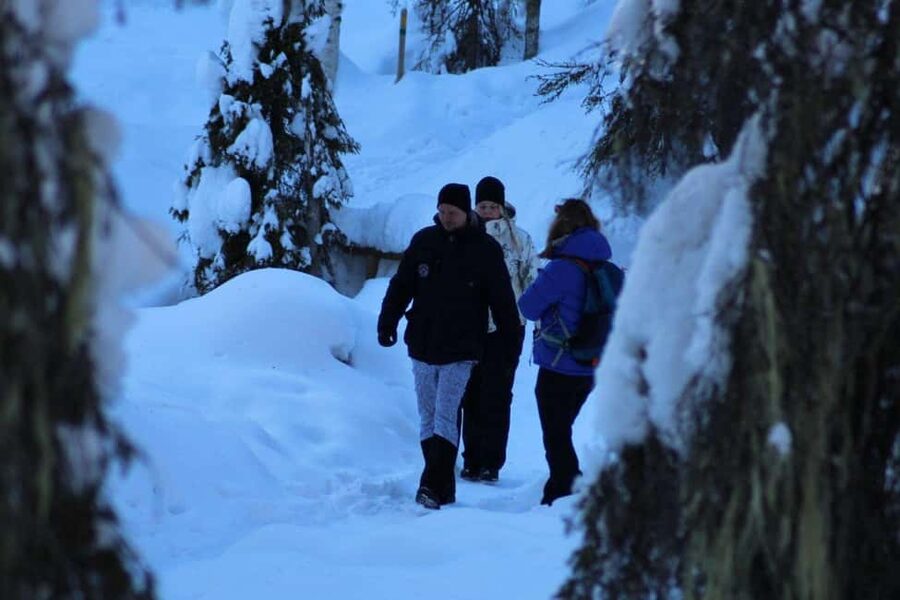 Rovaniemi: Korouoma Canyon and Frozen Waterfalls Tour - A Finnish campfire after the walk