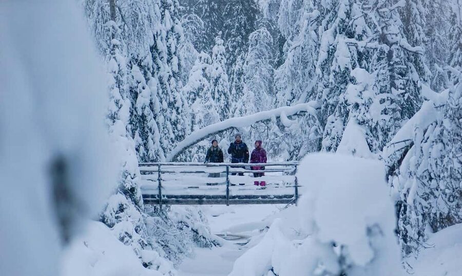 Rovaniemi: Korouoma Canyon and Frozen Waterfalls Tour - Is $117 a fair price?