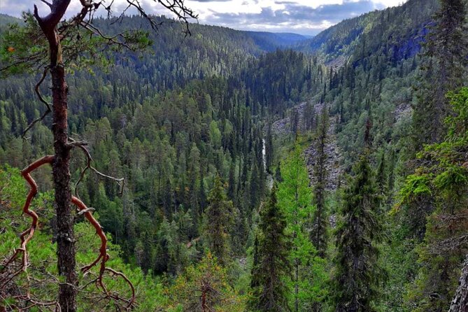 Rovaniemi Korouoma Canyon Hike and Barbecue Experience - Why this Korouoma day trip earns its place