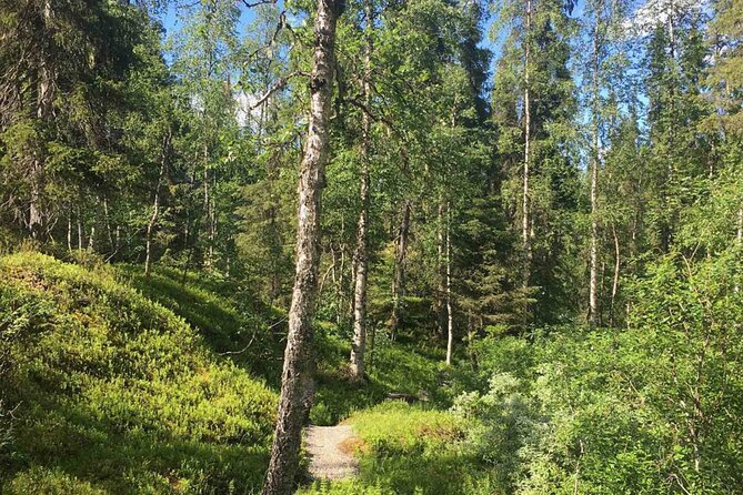 Rovaniemi Korouoma Canyon Hike and Barbecue Experience - Walking the 4 to 6 km canyon route