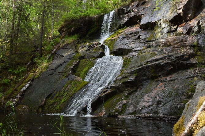 Rovaniemi Korouoma Canyon Hike and Barbecue Experience - Fitness, age, and health concerns