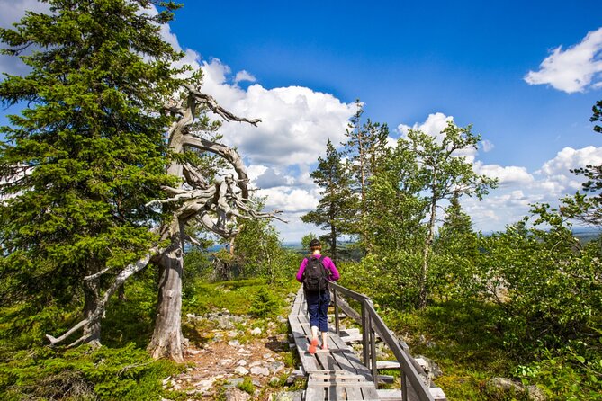 Rovaniemi Korouoma Canyon Hike and Barbecue Experience - Frozen waterfalls and seasonal scenery