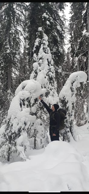 Rovaniemi: Korouoma Frozen Waterfalls Hike & Hot BBQ Lunch - Key points to know before you book