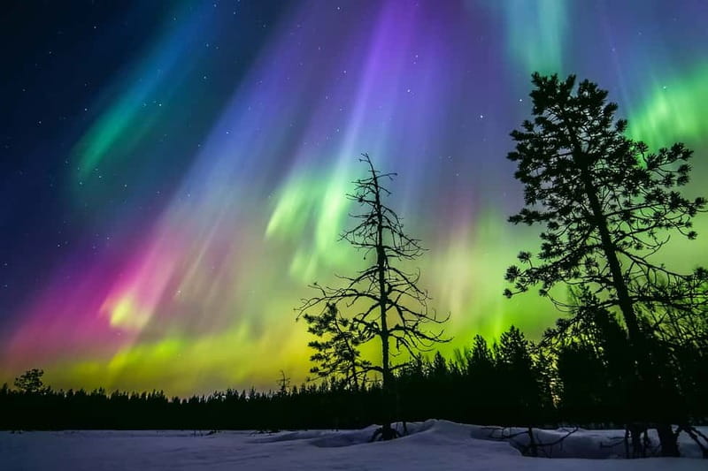 Rovaniemi: Lakeside Private Sauna with Aurora Borealis - Key points to know before booking