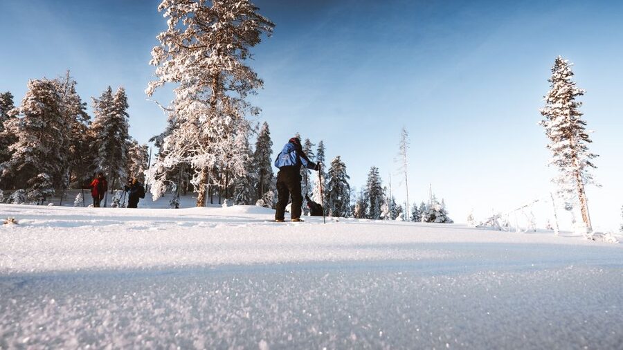 Rovaniemi: Lapland Ski Trekking Safari - Key points to know before you book