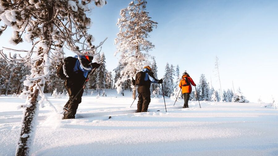 Rovaniemi: Lapland Ski Trekking Safari - Who should book this Rovaniemi activity?