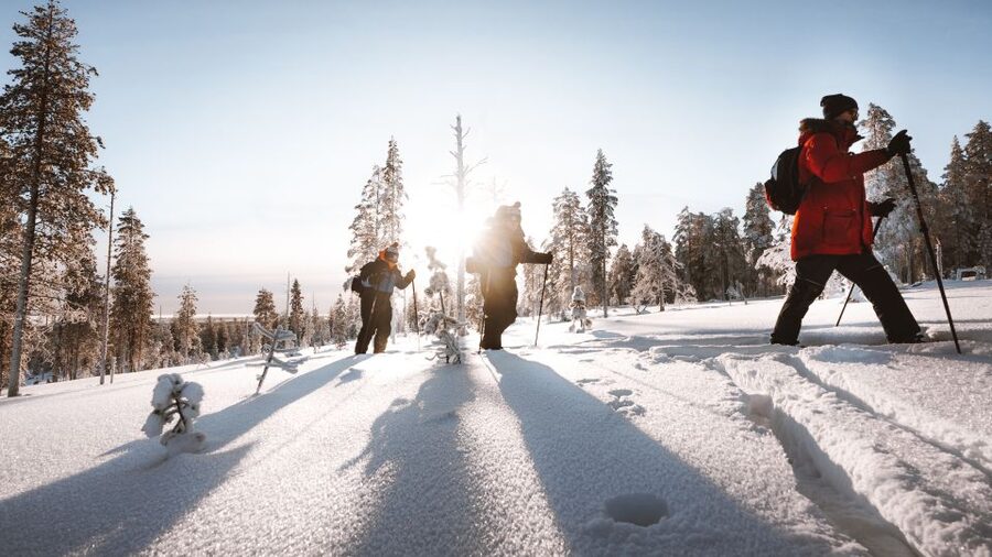 Rovaniemi: Lapland Ski Trekking Safari - Skiing through snow-covered forest and hills