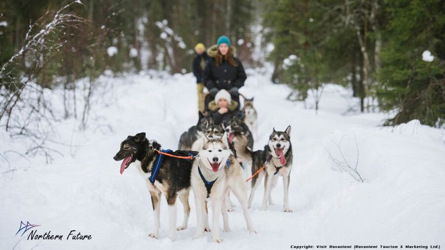 Rovaniemi: Meet Santa Claus, Reindeer Sleigh Ride & Huskies - A quiet 400-meter ride with Santa’s reindeer