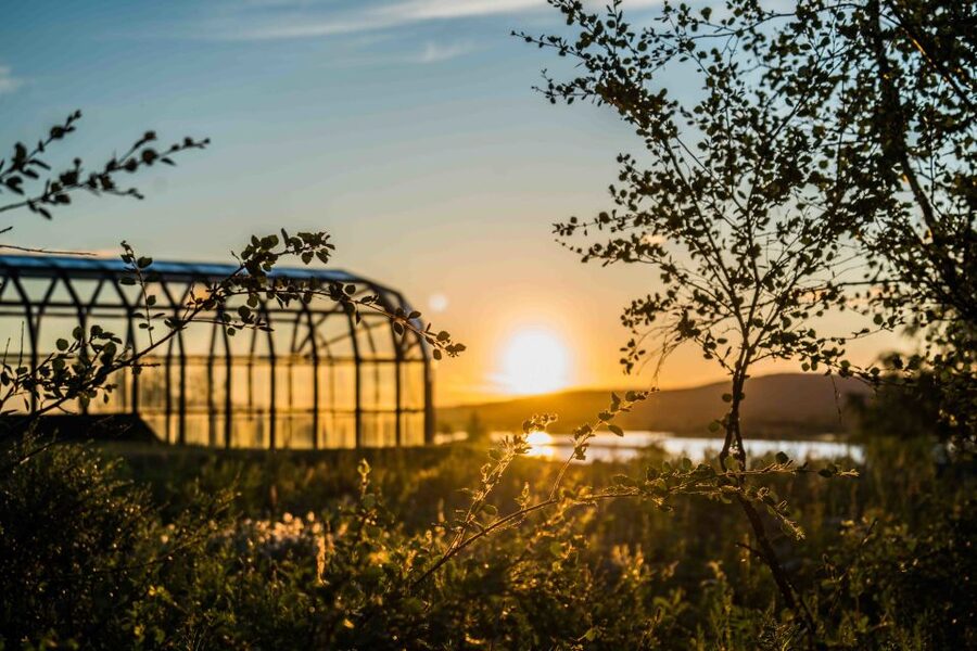 Rovaniemi: Midnight Sun Photography Tour - What Ryan and Sara add to the outing